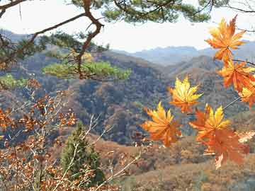 
				生丝产量连续14年居全国第一！广西丝绸工业总产值超110亿元
							